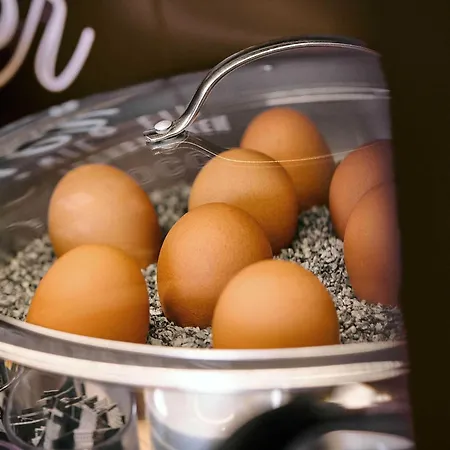 B&B Hotel Hamm 3* Hamm (North Rhine-Westphalia)